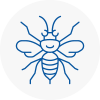 Bolton On Dearne Hornet Nest Removals