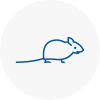 Mice Exterminators In Bolton On Dearne