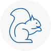 Bolton On Dearne Rodent Removals