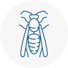Bolton On Dearne Wasp Nest Removal